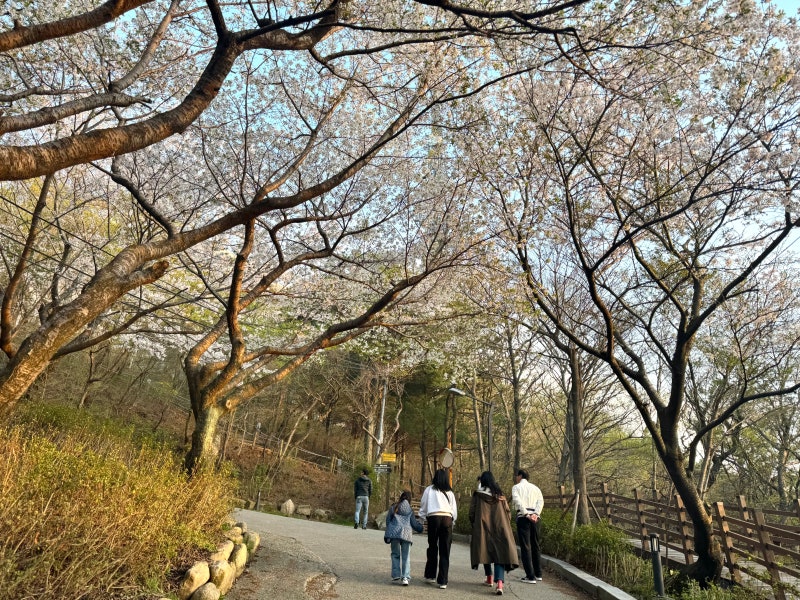 釜山カフェ