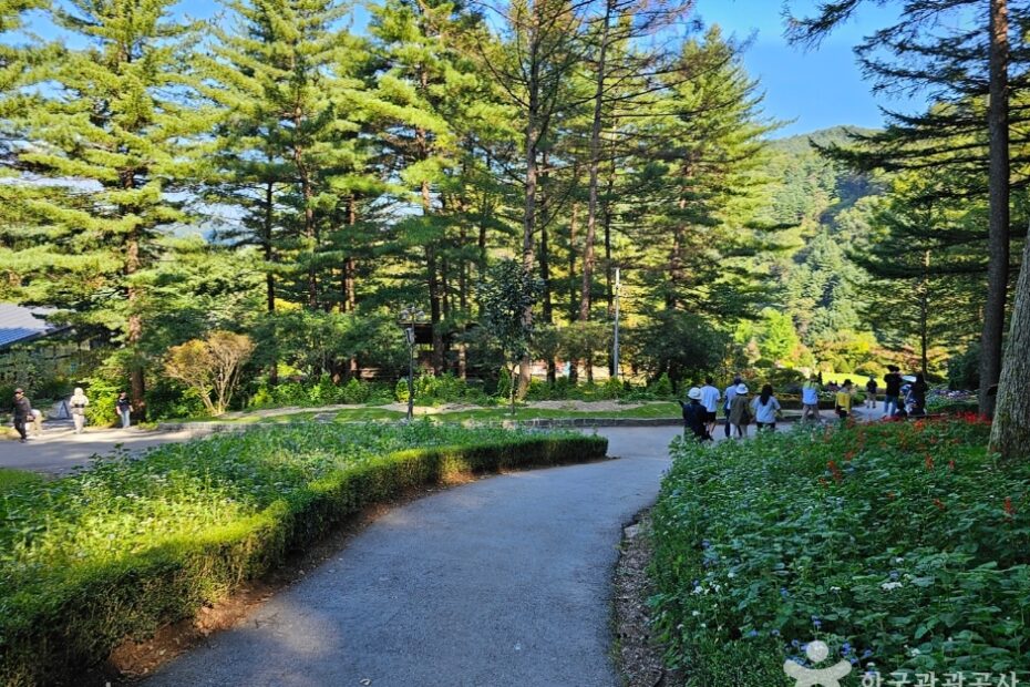 Garden of Morning Calm
