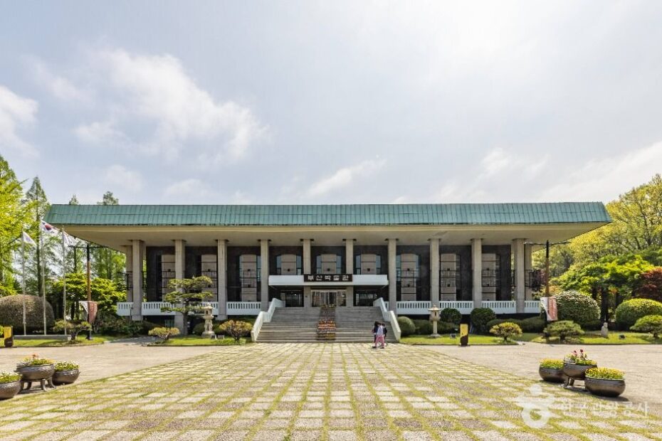 Busan Museum guide