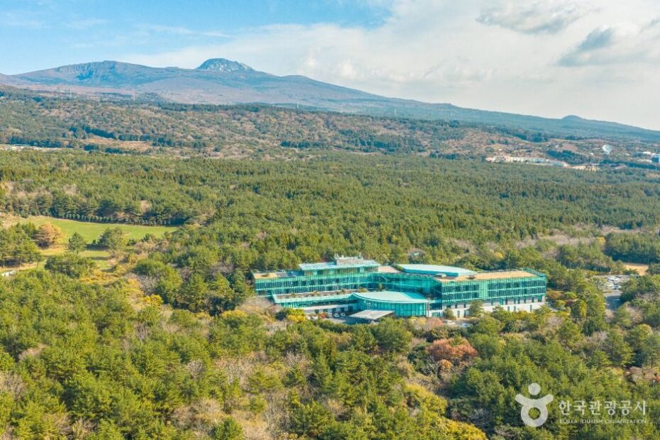 We Hotel Jeju